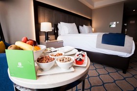 Holiday Inn Kayseri - Düvenönü
