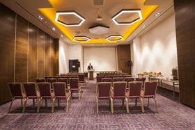 Holiday Inn Kayseri - Düvenönü