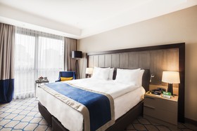 Holiday Inn Kayseri - Düvenönü