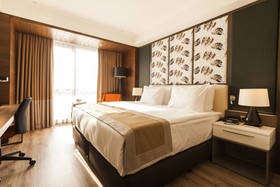 Holiday Inn Kayseri - Düvenönü