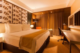 Holiday Inn Kayseri - Düvenönü