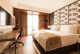 Holiday Inn Kayseri - Düvenönü