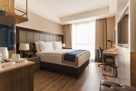 Holiday Inn Kayseri - Düvenönü