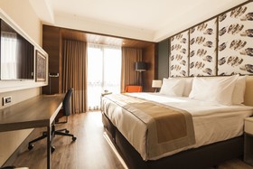 Holiday Inn Kayseri - Düvenönü