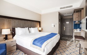 Holiday Inn Kayseri - Düvenönü