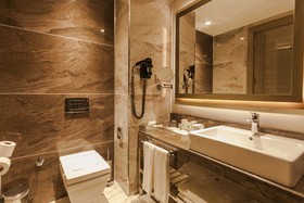 Holiday Inn Kayseri - Düvenönü