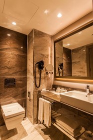 Holiday Inn Kayseri - Düvenönü