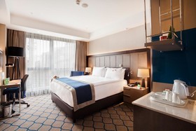 Holiday Inn Kayseri - Düvenönü