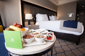 Holiday Inn Kayseri - Düvenönü