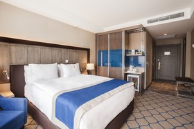 Holiday Inn Kayseri - Düvenönü