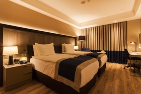 Holiday Inn Kayseri - Düvenönü