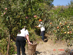 Akkoy Evleri Cave Hotel