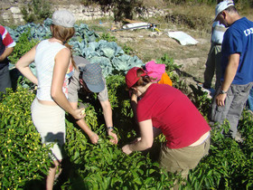 Akkoy Evleri Cave Hotel