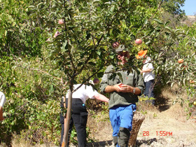 Akkoy Evleri Cave Hotel