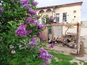 Armesos Cave Hotel