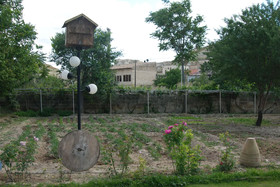 Melis Cave Hotel