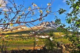 Karbeyaz Hotel & Resort