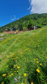 Ayder Yayla Bungalov