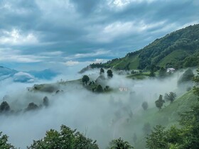 Organikkoy Bungalov