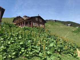 Pokut Inn