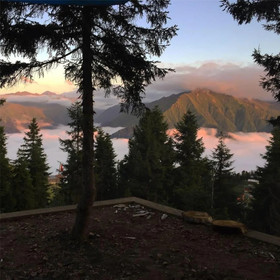 Pokut Orion