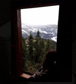 Pokut Orion