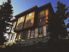 Pokut Orion