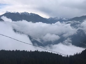 Pokut Orion