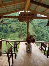 Purkinora Bungalov