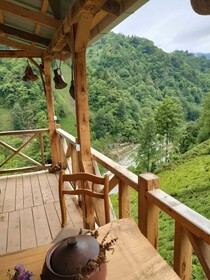 Purkinora Bungalov