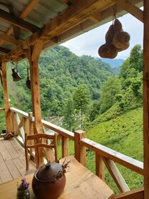 Purkinora Bungalov