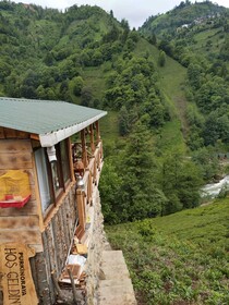 Purkinora Bungalov