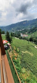 Tercuman Suit Otel