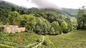 Waterfall Bungalov