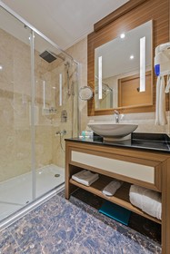 Anadolu Hotels Downtown Ankara