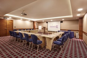 Anemon Ankara
