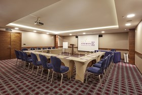 Anemon Ankara