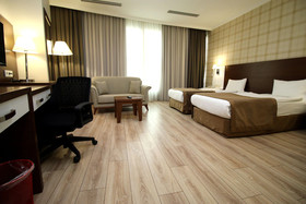 Boss Hotel