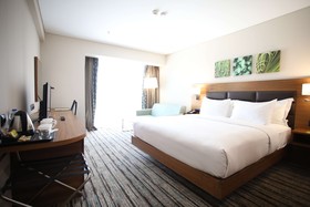 Hilton Garden Inn Ankara Gimat