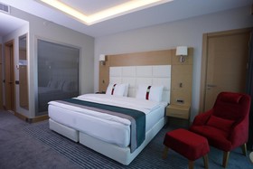 Holiday Inn Ankara - Cukurambar