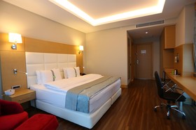 Holiday Inn Ankara - Cukurambar
