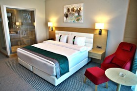 Holiday Inn Ankara - Cukurambar