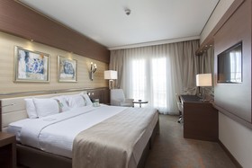 Holiday Inn Ankara - Kavaklidere