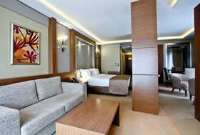 Holiday Inn Ankara - Kavaklidere