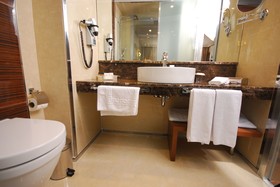 Holiday Inn Ankara - Kavaklidere