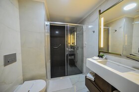 The Alpfine Hotel