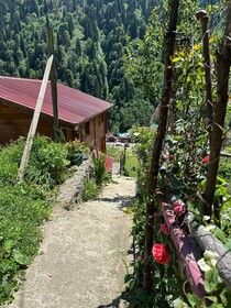 Ayder Yardimci Apart