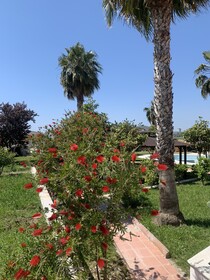 Salida Inn
