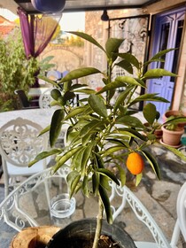 Masal Kucukkoy Boutique Hotel