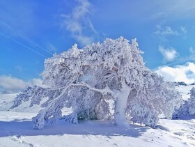 Silver Inn Hotel & Spa Bolu